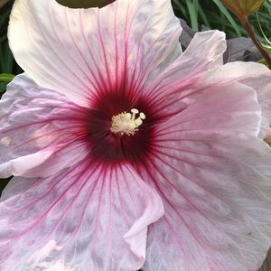 Meet your Posher, Erik